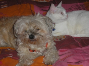 10284741_762639863856434_1962870774690750078_o